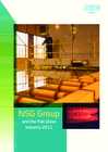 NSG Group and the Flat Glass Industry 2011